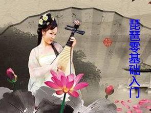 成人琵琶初学演奏视频,入门演奏视频解析与技巧揭秘