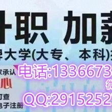 成人高考以往视频,历年视频精华回顾与解析