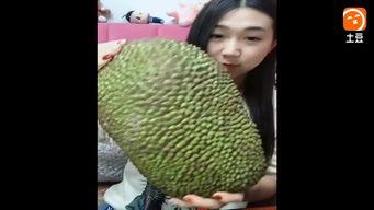 菠萝菠萝蜜视频成人,揭秘成人世界的甜蜜与苦涩