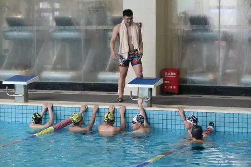 女生成人游泳视频大全,全方位女生成人游泳教学视频大盘点