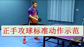 成人正手攻球视频,从视频中学到的关键要点