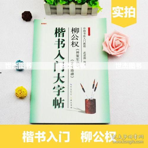 毛笔成人初级教学视频,跟随教学视频轻松掌握初级技巧