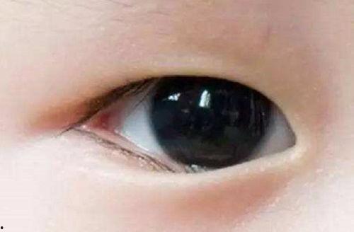 成人倒睫毛贴怎么贴视频,成人倒睫毛贴简易贴法视频教程