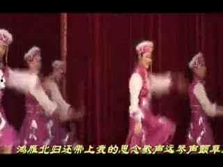 成人简单民族舞视频,感受传统文化魅力