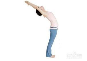 成人减肥瑜伽视频教程